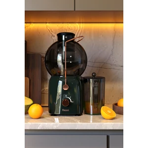 Katı Meyve Sıkacağı Hız Ayarlı 1,2l 800W FR-KM01 Essenza