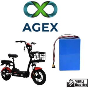 Agex Enerji Arora Casper New 48 Volt 15 Ah  Lifepo4 Batarya