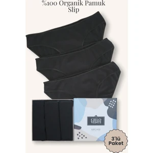 Must Have | 3'lü Organik Pamuk Slip Külot