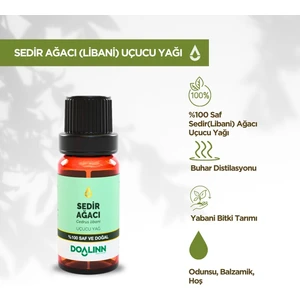 Sedir Ağacı Uçucu Yağı (Cedrus Libani) 10 Ml.