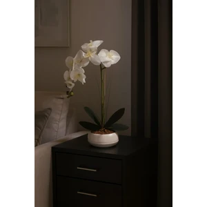 Maki Dekor Dekoratif Modern Saksıda Islak Dokulu Yapay Orkide Çiçeği