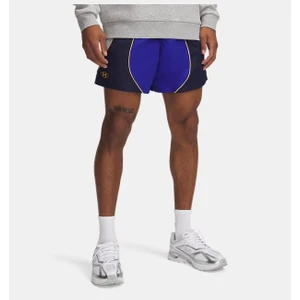 Under Armour Erkek UA Icon Volley Colorblock Şort