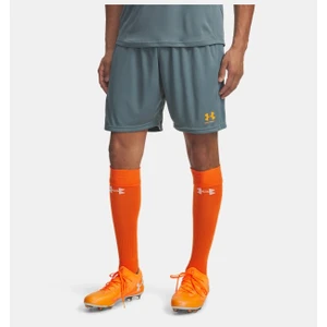 Under Armour Erkek Ua Challenger Örme Şort 1379507-587