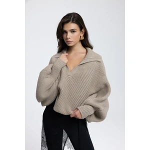 Livia Vizon Yakalı Kazak