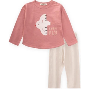 Uzun Kollu Baskılı T-Shırt Takım 1-5 Yaş K Pembe