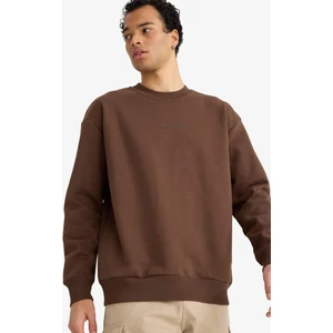 Boxy Fit Bisiklet Yaka İçi Yumuşak Tüylü Baskılı Sweatshirt X8282AZ25AU