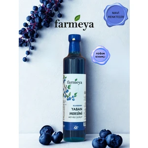 Yaban Mersini Özü 700 gr - Yaban Mersini Meyveli Şurup