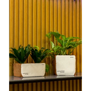 Sirona Saksı 3'lü Set
