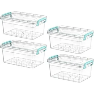 Plastik Kutu Kapaklı Taşıma Saplı Saklama Kabı 4lü Set