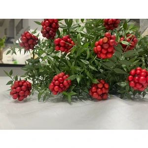 Green Deco Kokina (18 Dal) Yılbaşı - Şans Çiçeği