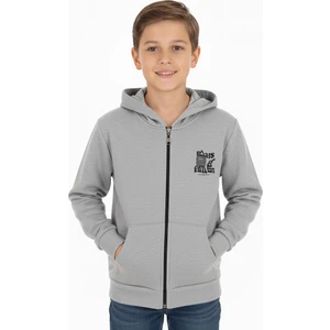 Erkek Çocuk Hırka Baskılı Kapüşonlu 2 İplik Şordonlu