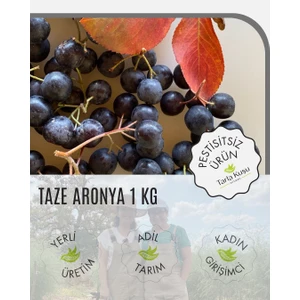 Taze Aronya Meyvesi 1 kg (Tarla Kuşu, Ilaçsız, Doğal Üretim, Yeni Hasat)