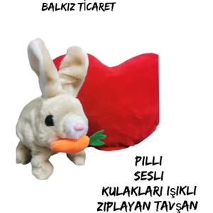 Kulakları Işıklı Zıplayan Tavşan, Pilli  Sevimli Oyuncak Peluş Tavşan  18X17 cm