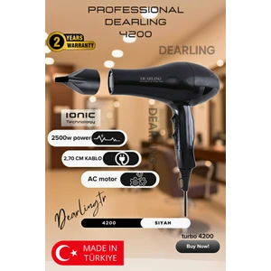 4200  Profesyonel Saç Kurutma Makinesi