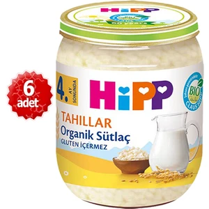 Organik x 6 Adet Sütlaç 125GR