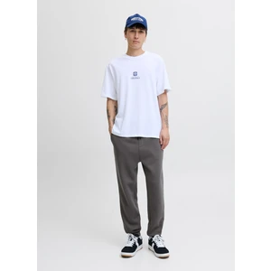 Jack & Jones Normal Gri Erkek Eşofman Altı 12249274_JPSTGORDON Bradley Sweat P