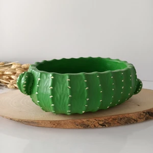 Rüzgarlı Atölye Oval Kaktüs Saksı