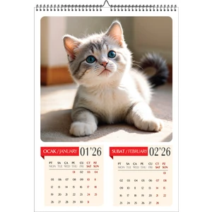 Genel Tedarik 2026 Kedi Temalı Duvar Takvimi-A3 6 Sayfa Üstten Spiralli ve Askılı