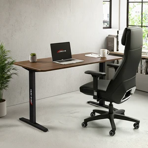 Xdrive Rüzgar Çalışma Masası Barok (100X60)