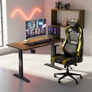 Xdrive Rüzgar Oyuncu Masası Barok (120X60)