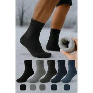 Worthy Socks Kışlık Havlu Termal Çorap 5'li Paket