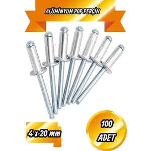 BRATİ HAND TOOLS 4X20 Pop Perçin Alüminyum Pop Perçim 100 Adet