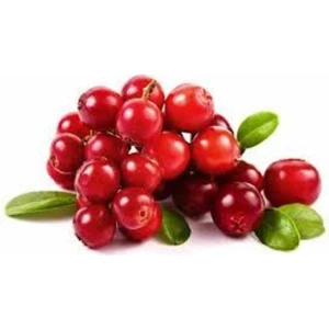 10 Adet Tohum Yaban Mersini Tohumu Cranberry Turna Yemişi Tohumu