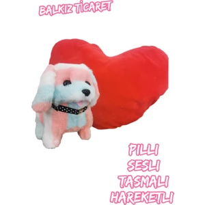 Renkli Pilli Oyuncak Köpek