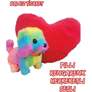 Renkli Pilli Oyuncak Köpek