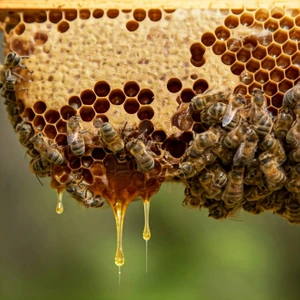 Memleketten Ne Gelsin Kars Karakovan Balı (1.2 Kg- 1.4 Kg)