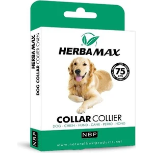 Pire Dış Parazit Kene Tasması - 75 cm