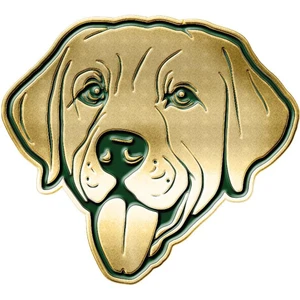 Labrador Dog Ceket Rozeti GN12 Celery