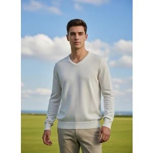 Erkek V Yaka Kaşmir Light Regular Fit Triko Kazak