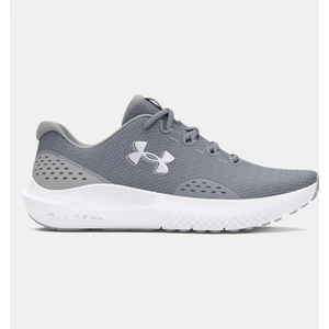Under Armour Erkek Ua Charged Surge 4 Koşu Ayakkabısı 3027000-101