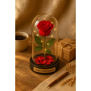 Deco Elit Canım Öğretmenim Temalı  Öğretmene Hediye LED Işıklı Mika Fanus Kırmızı Yapma Solmayan Gül