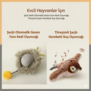 Silva Nature 2'li Akıllı Kedi Oyuncağı Seti: Şarjlı Titreşimli Hareketli Kuş ve Otomatik Gezen Fare Oyuncak