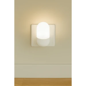 Gece Lambası İki Renkli Günışığı ve Beyaz Renk 1 Watt LED