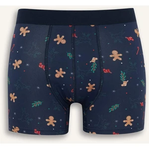 Yılbaşı Temalı Regular Fit Boxer F9939AX25WN