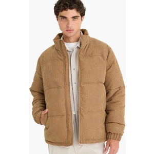 Regular Fit Dik Yaka Fermuarlı İç Cepli Mont E9246AX25WN