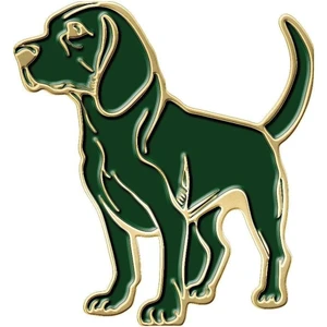 Beagle Rozet GN13 Sage