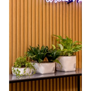 Rosmerta Saksı 4'lü Set