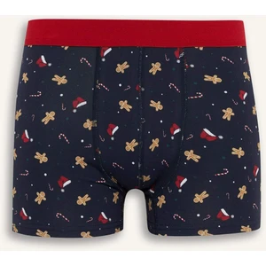 Yılbaşı Temalı Regular Fit Boxer E0041AX25WN