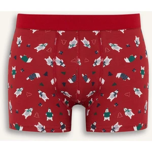 Yılbaşı Temalı Regular Fit Boxer F9937AX25WN