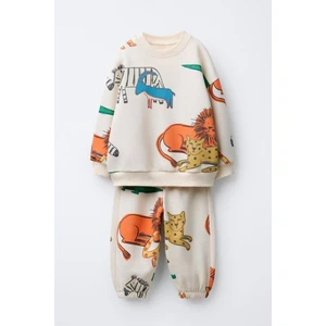 Erkek Çocuk Baskılı 3 Iplik Pamuklu Kumaş Alt Üst Takım