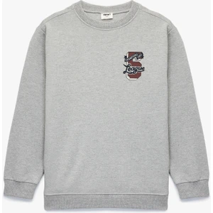 Uzun Kollu Bisiklet Yaka Baskılı Sweatshirt
