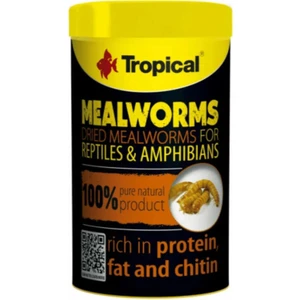 Meal Worms 100ML/13G