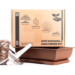 Bonsai Kurtarma ve Saksı Değişimi Kiti No.1 - Kahverengi