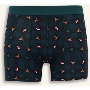 Yılbaşı Temalı Regular Fit Boxer F9924AX25WN