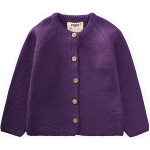 Links Triko Hırka 1-8 Yaş Mor