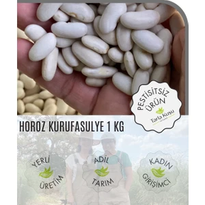 Kozçeşme Horoz Kuru Fasulyesi 1 kg (Tarla Kuşu, Ilaçsız, Doğal Tarım, Yeni Hasat)